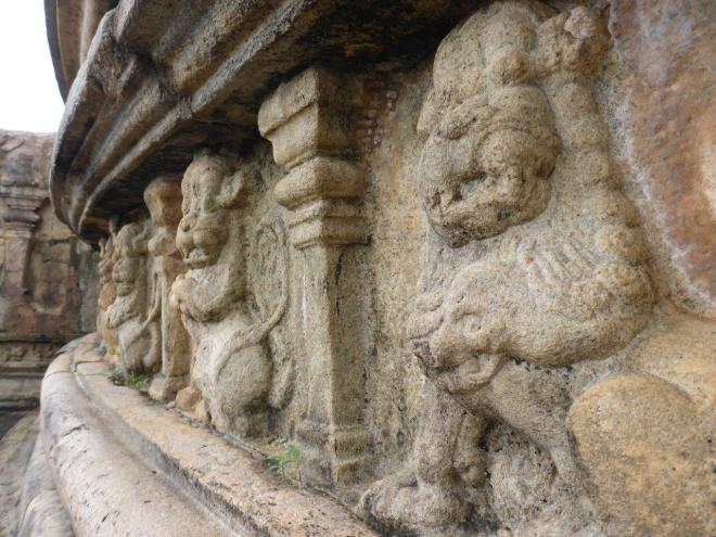 The Vatadage at the sacred Quadrangle in Polonnaruwa 5