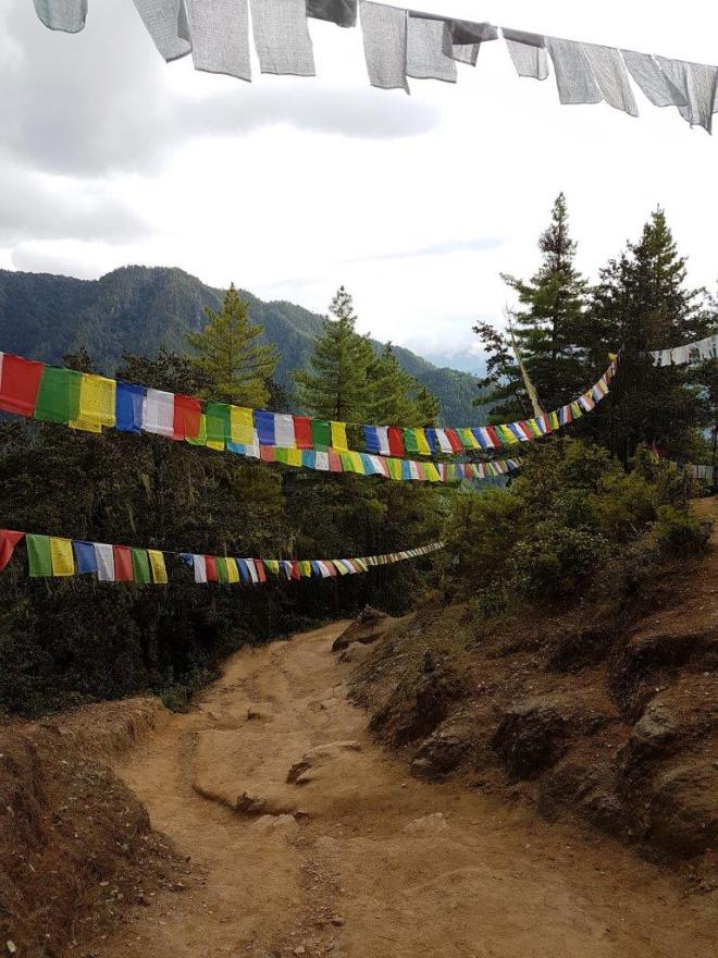 Long rows of prayer flags all along the track to Tiger's Nest. Paro Taktsang. Bhutan.